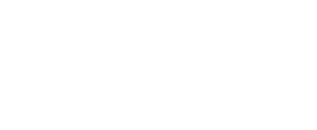 light logo